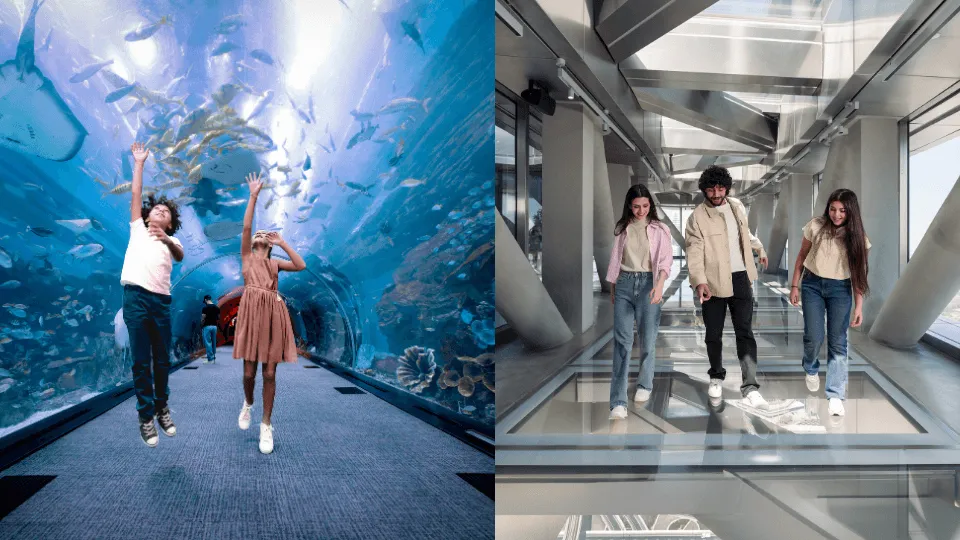 Dubai Aquarium + Sky Views with Slide – Combo - Image 1